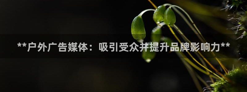 杏宇平台测速链接：**户外广告媒体：吸引受众并提升品牌影响力**