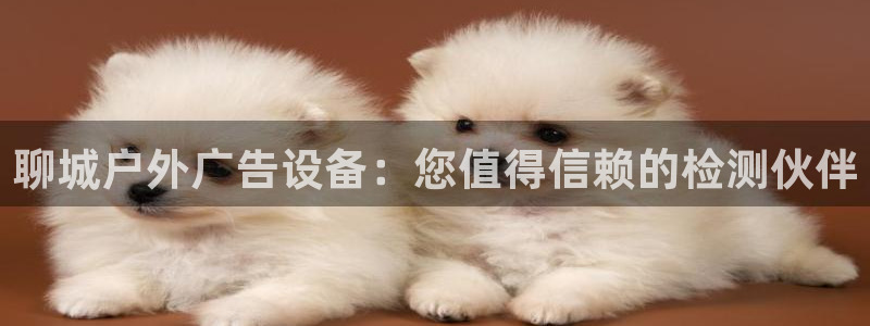 杏宇平台招商怎么样