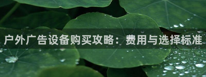 杏宇平台招商：户外广告设备购买攻略：费用与选择标准