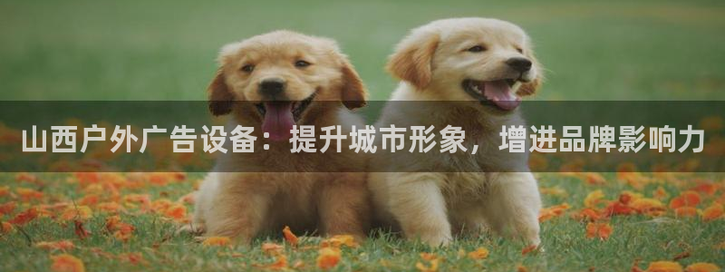 杏宇平台代理怎么赚钱快