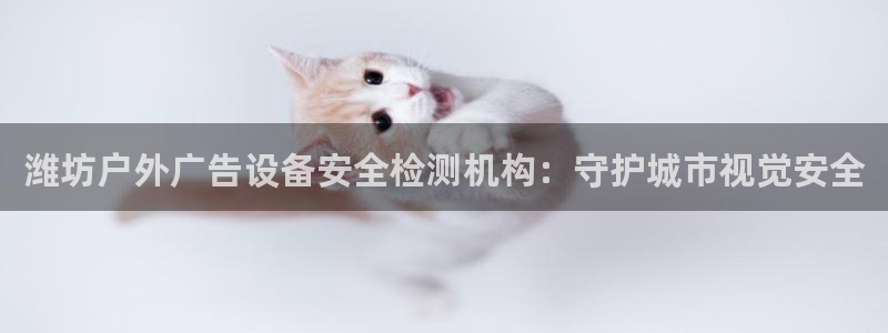 杏宇平台代理怎么样可靠吗