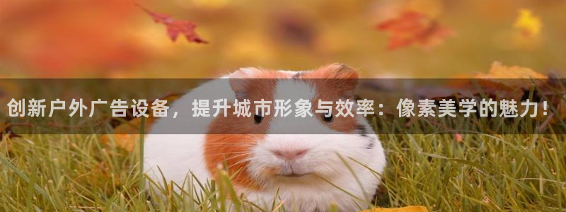 杏宇平台代理怎么样：创新户外广告设备，提升城市形象与效率：像素美学的魅力！