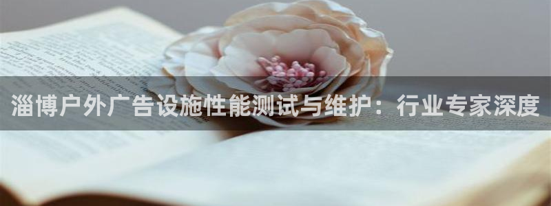 杏宇平台招商怎么样：淄博户外广告设施性能测试与维护：行业专家深度