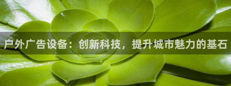 杏宇平台代理怎么赚钱快