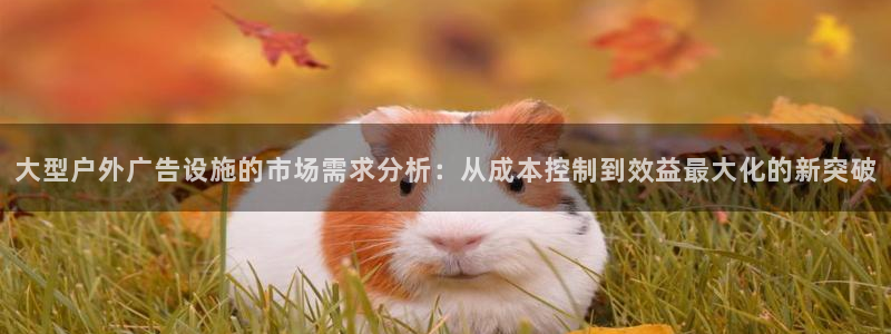 杏宇平台代理多少钱一个