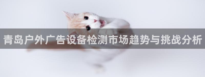 杏宇平台代理：青岛户外广告设备检测市场趋