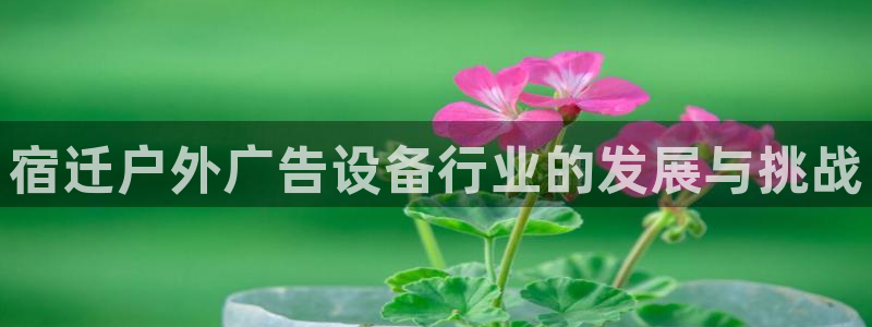 杏宇平台代理怎么赚钱的：宿迁户外广告设备