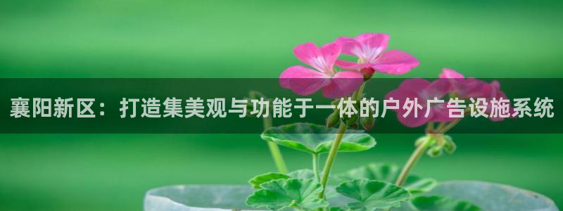 杏宇平台代理多少钱：襄阳新区：打造集美观