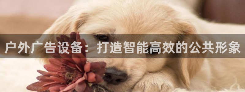 杏宇平台官网注册：户外广告设备：打造智能